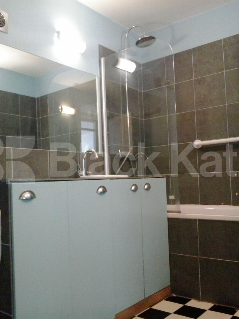 			NEW INSTRUCTION , 2 Bedroom, 1 bath, 1 reception Flat			 Shepherds Bush Green, Shepherds Bush